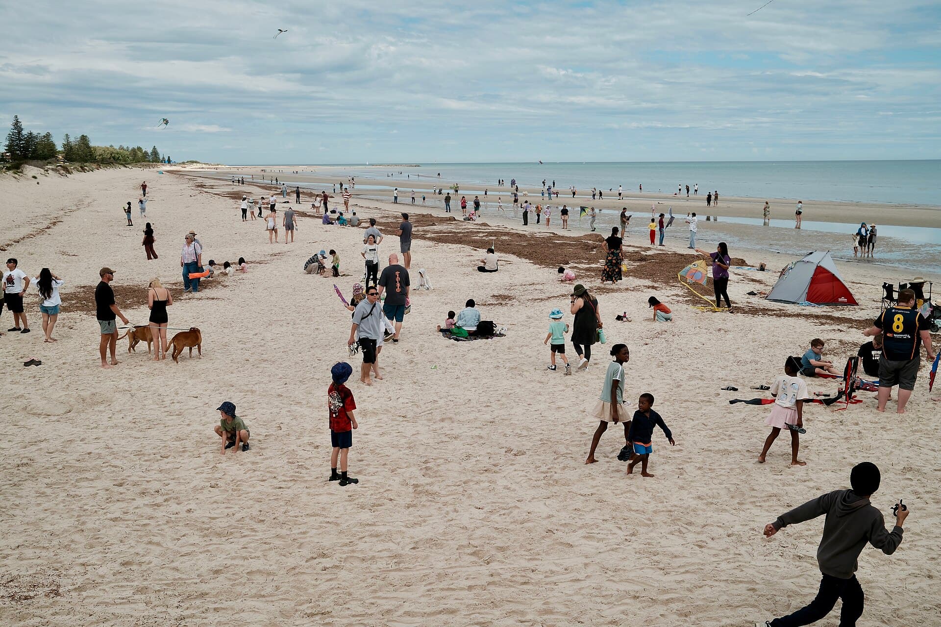 Things to Do in Semaphore, Adelaide: The Local Guide