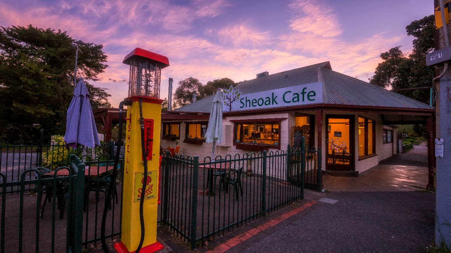 Sheoak Cafe — Mitcham, Adelaide