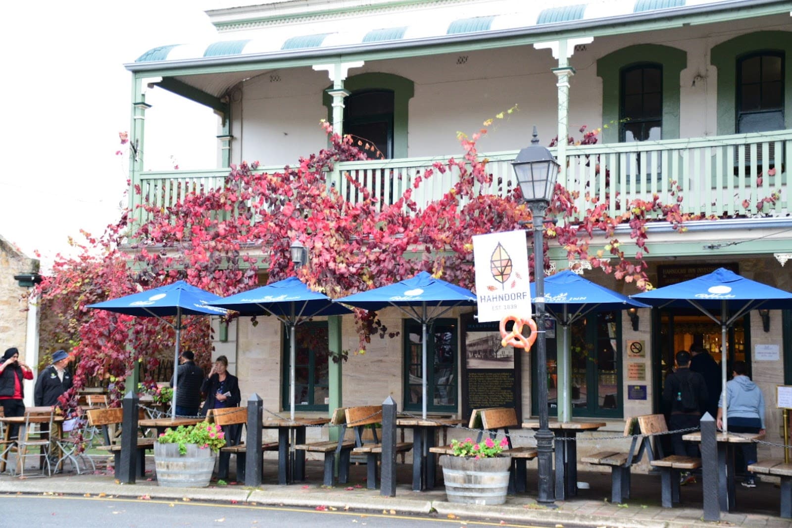 Vine and Essen — Hahndorf, Adelaide