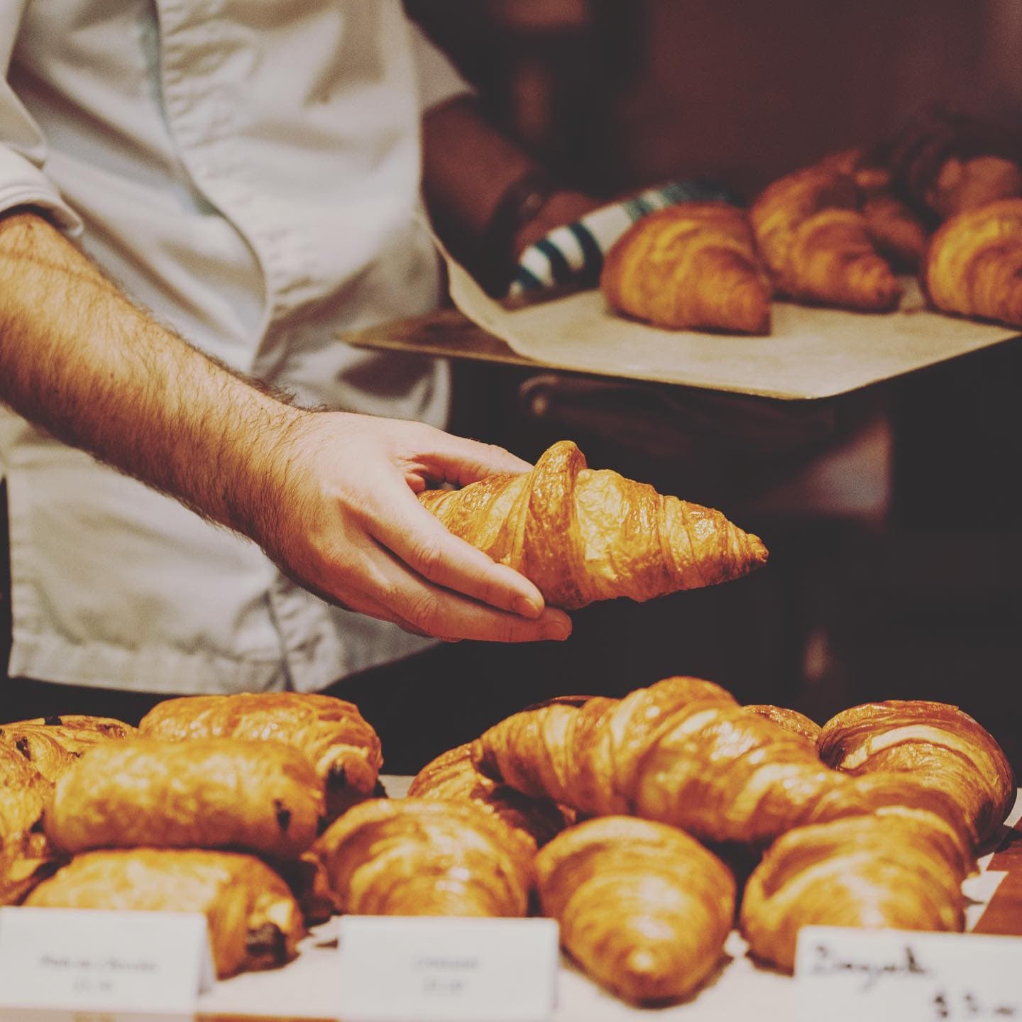 Maison Clement — North Adelaide, Adelaide