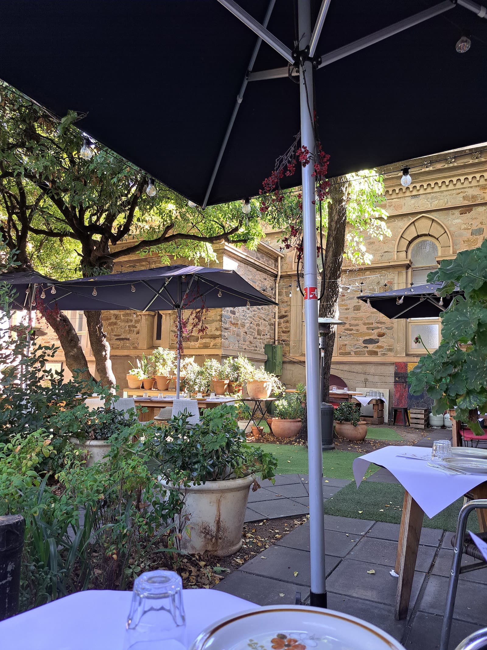 Ruby Red Flamingo — North Adelaide, Adelaide