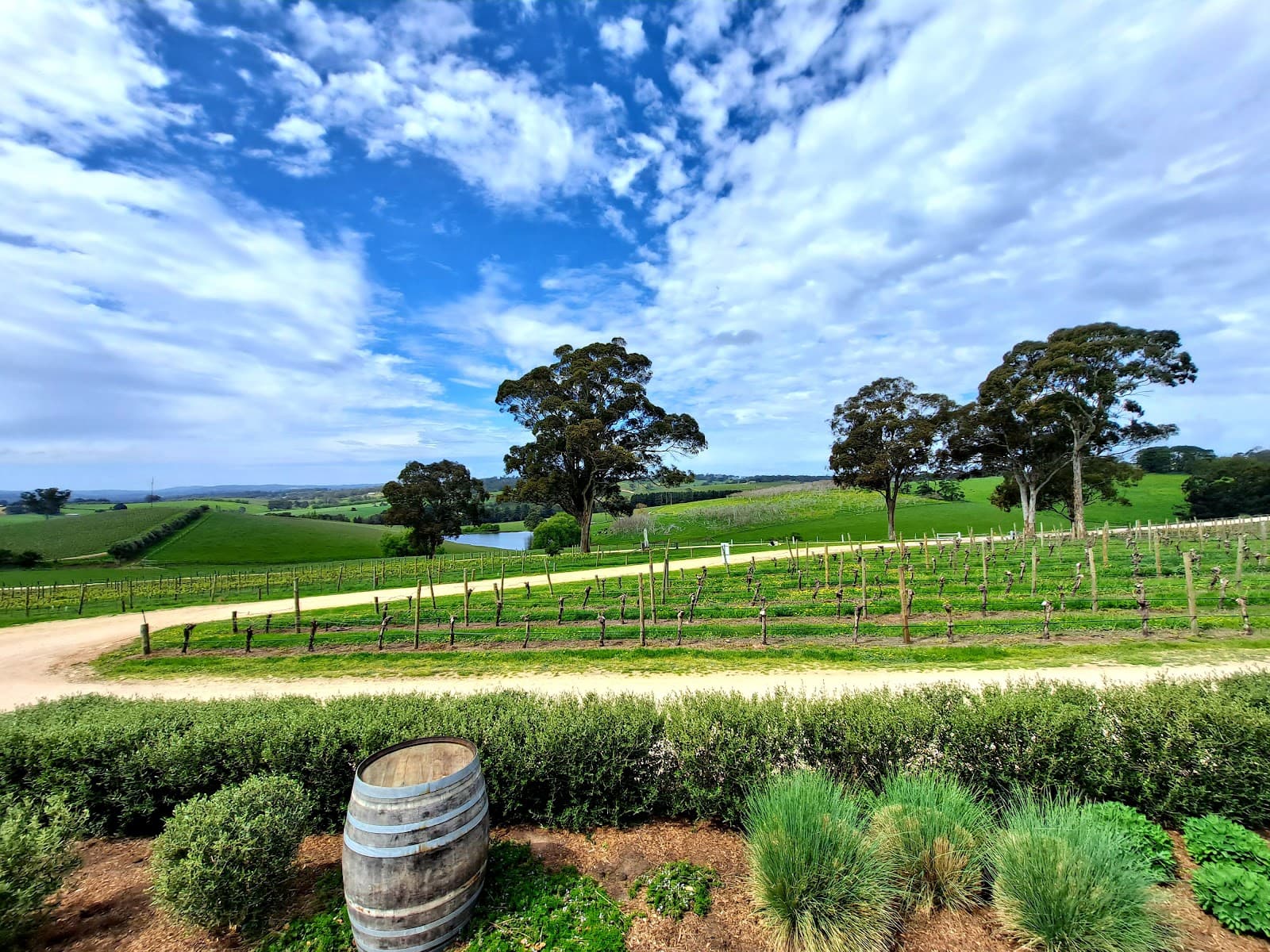 The Lane Vineyard — Hahndorf, Adelaide
