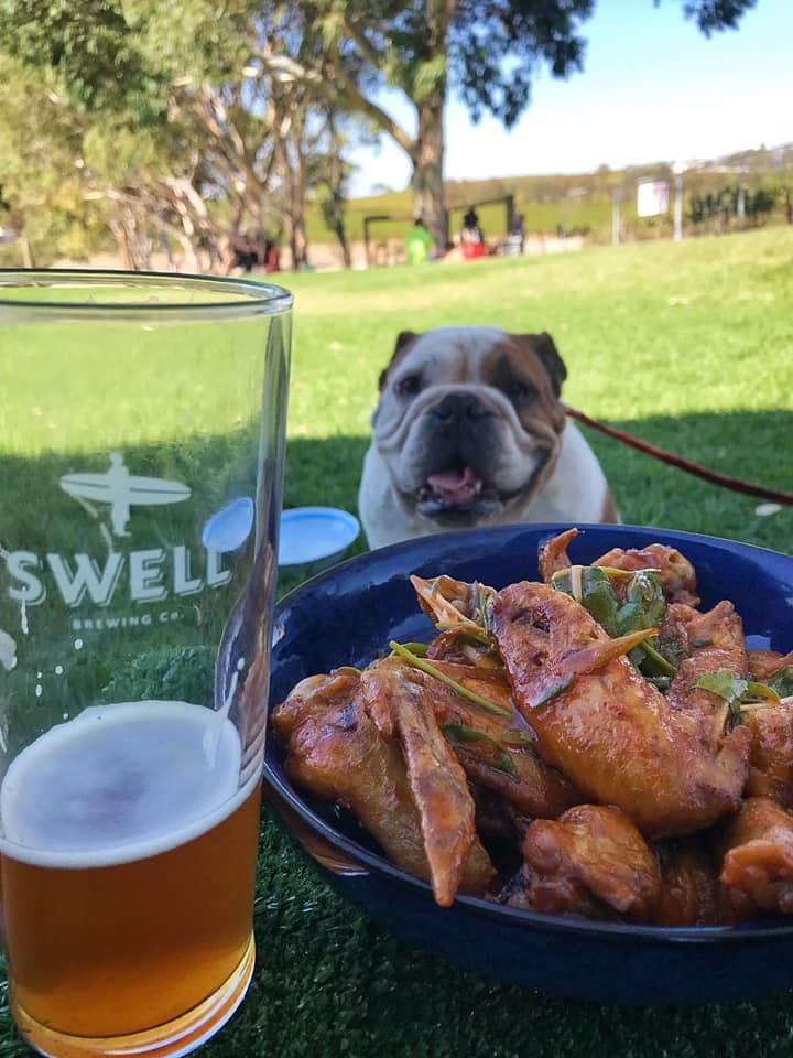 Swell Brewing Co. Taphouse & Brewery — Brighton, Adelaide