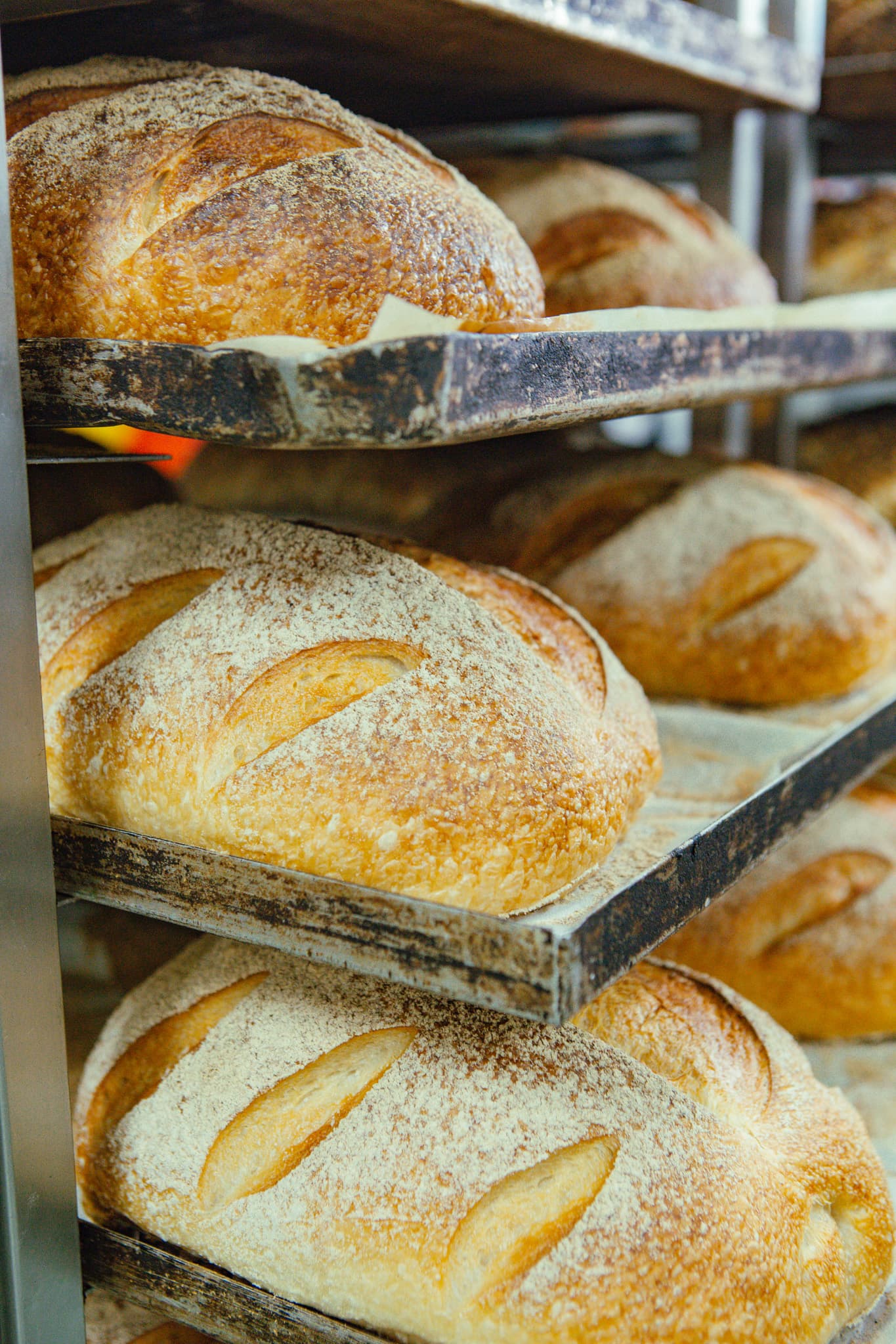Skala Bakery Production Facility — Port Adelaide, Adelaide