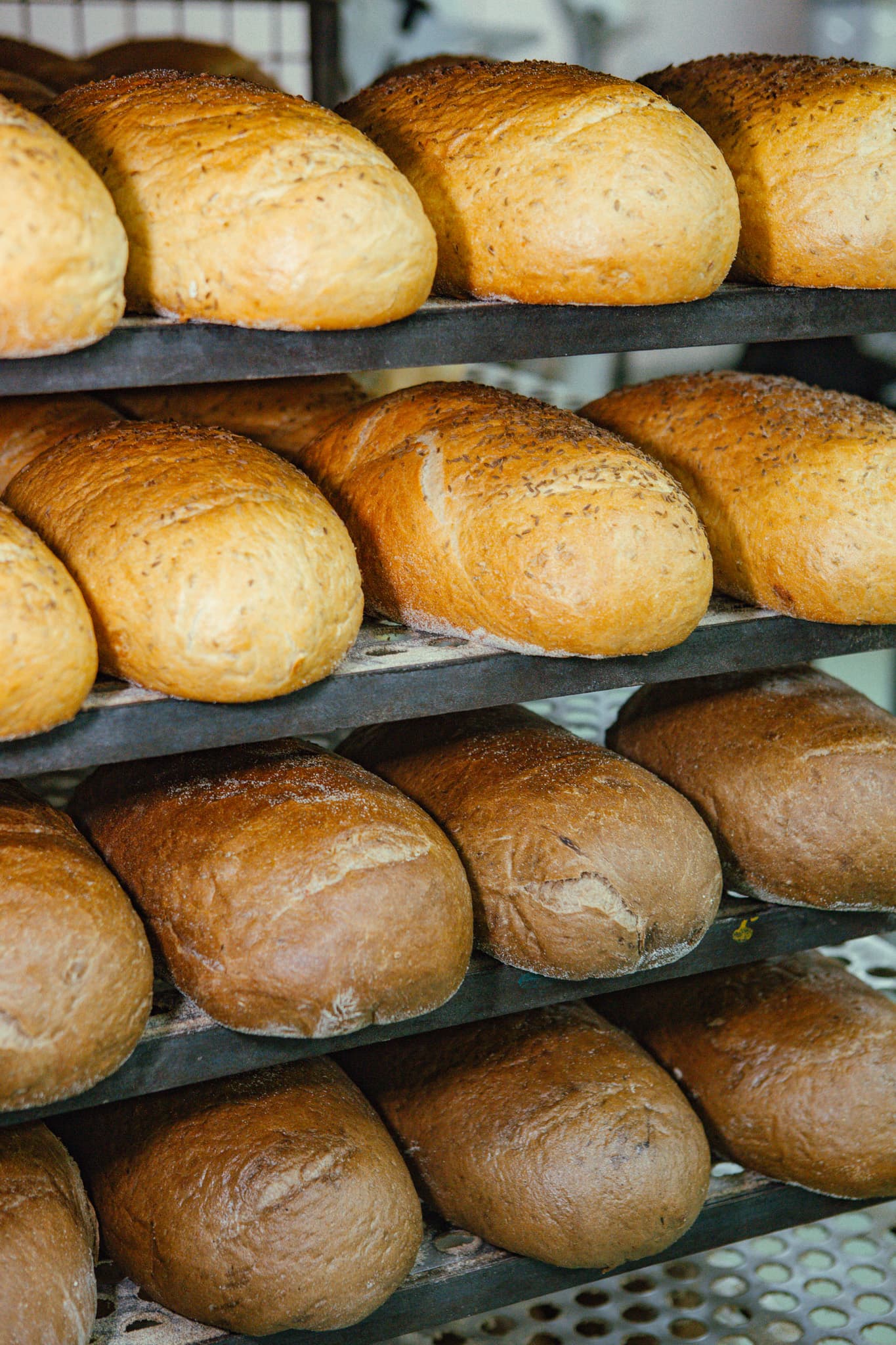 Skala Bakery Production Facility — Port Adelaide, Adelaide