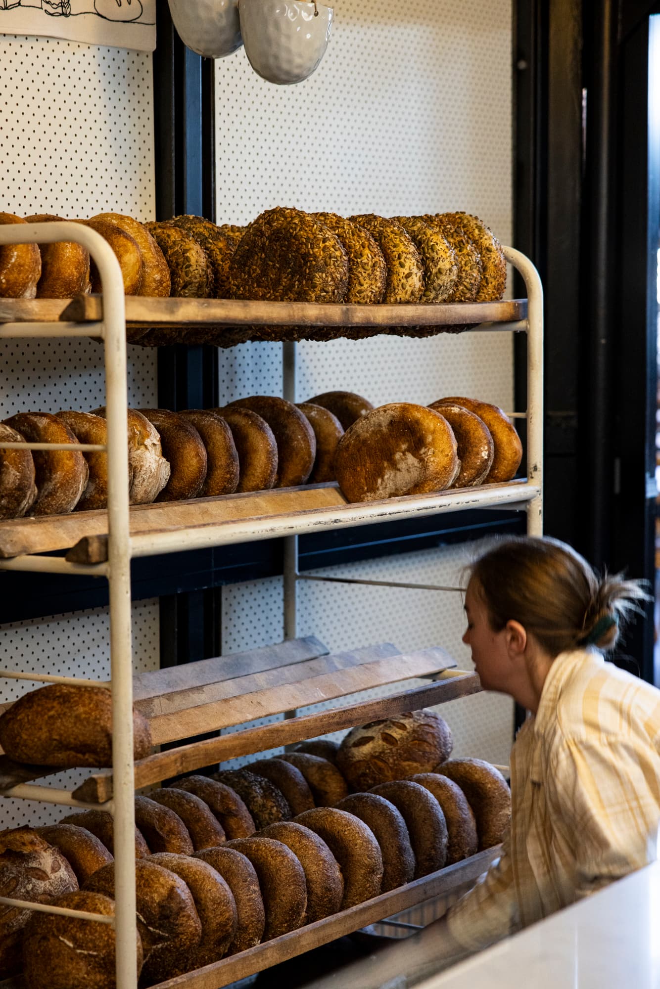 The Lost Loaf — Hindmarsh, Adelaide