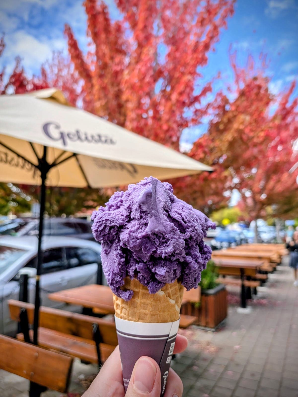 Gelista Hahndorf — Hahndorf, Adelaide