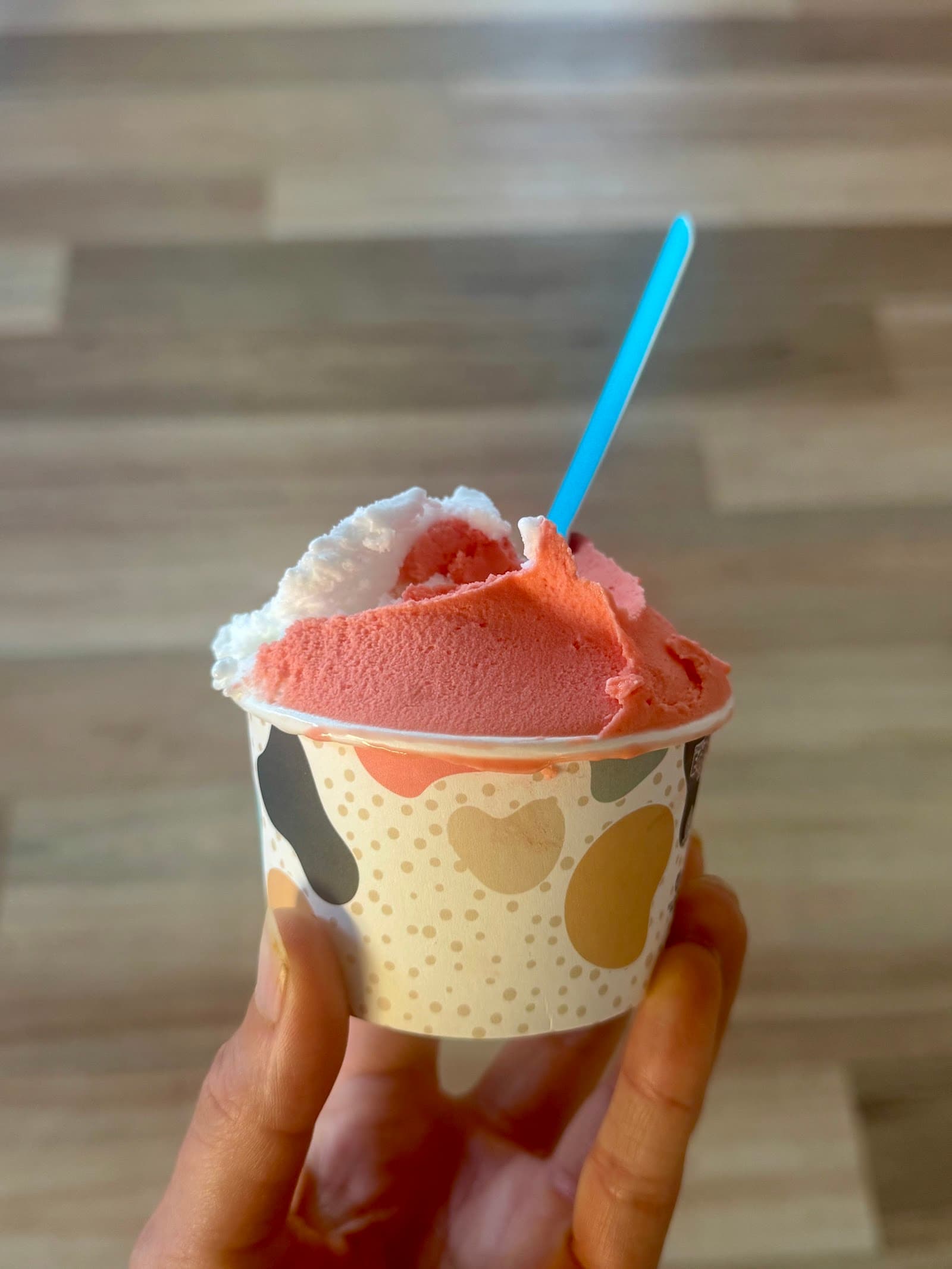Mambo Gelato — North Adelaide, Adelaide