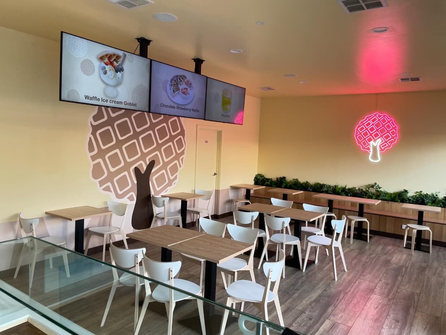Waffle Tree — Prospect, Adelaide