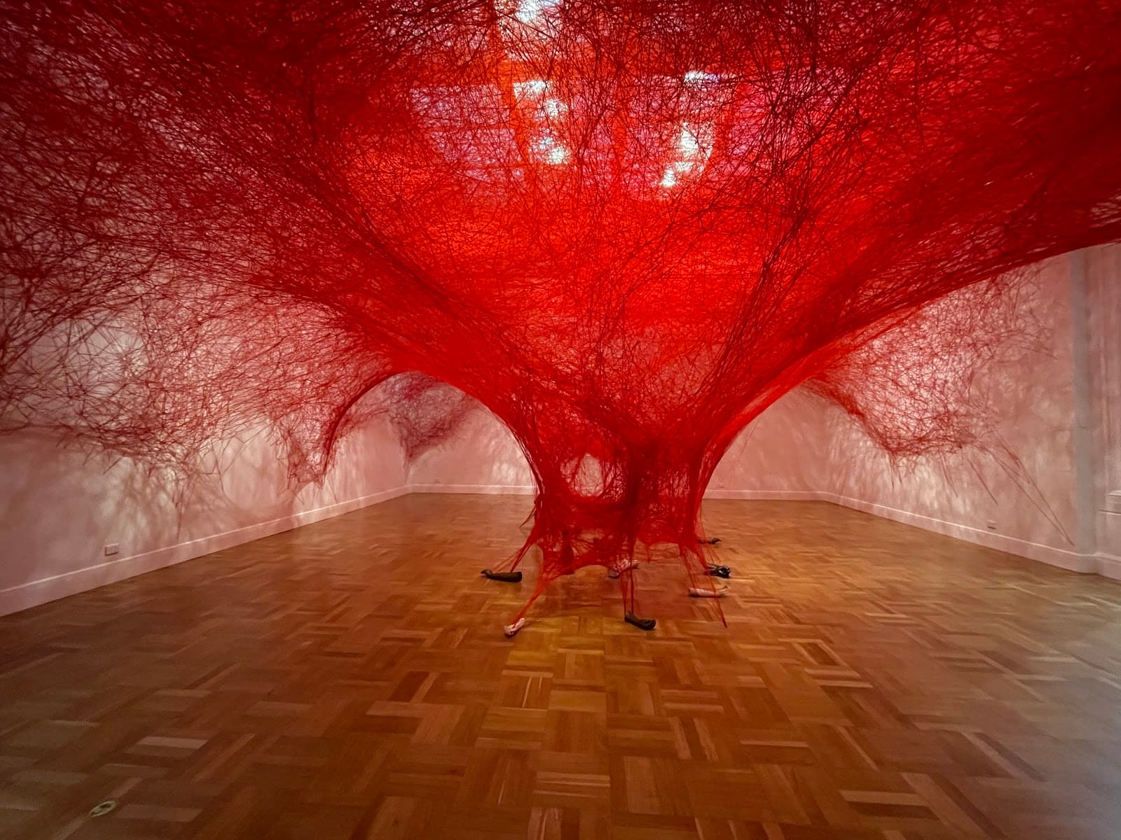 Art Gallery of South Australia — Hindmarsh, Adelaide
