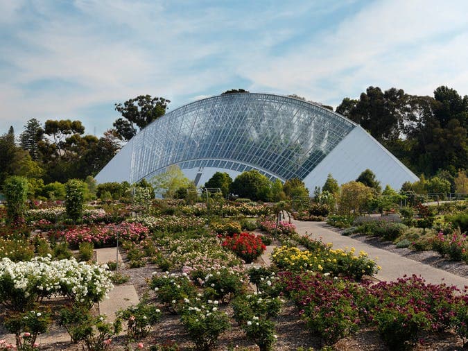 Adelaide Botanic Garden — Hindmarsh, Adelaide