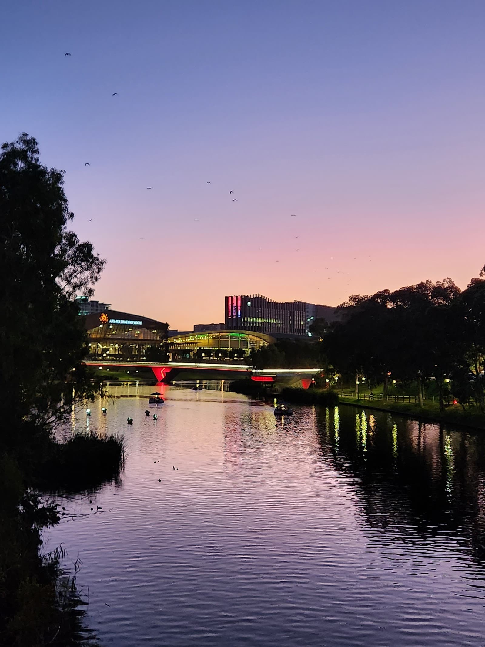 The Bradman Collection — Burnside, Adelaide
