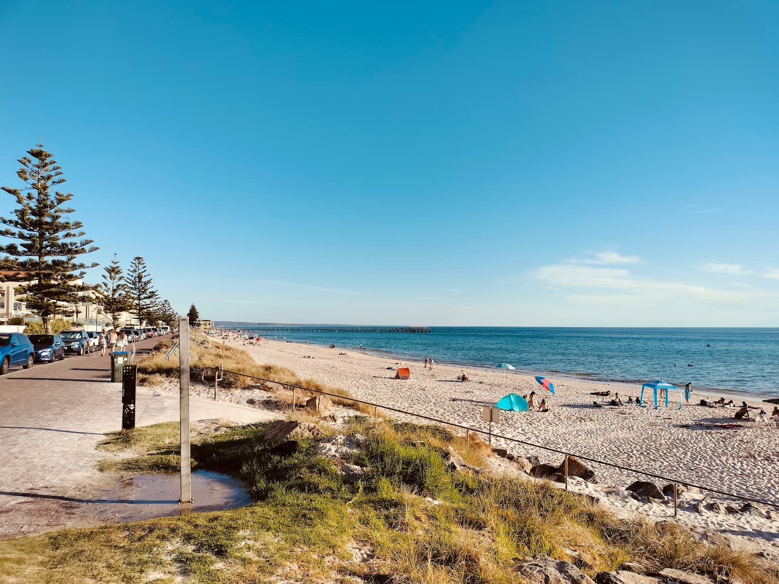 Marine Discovery Centre — Henley Beach, Adelaide