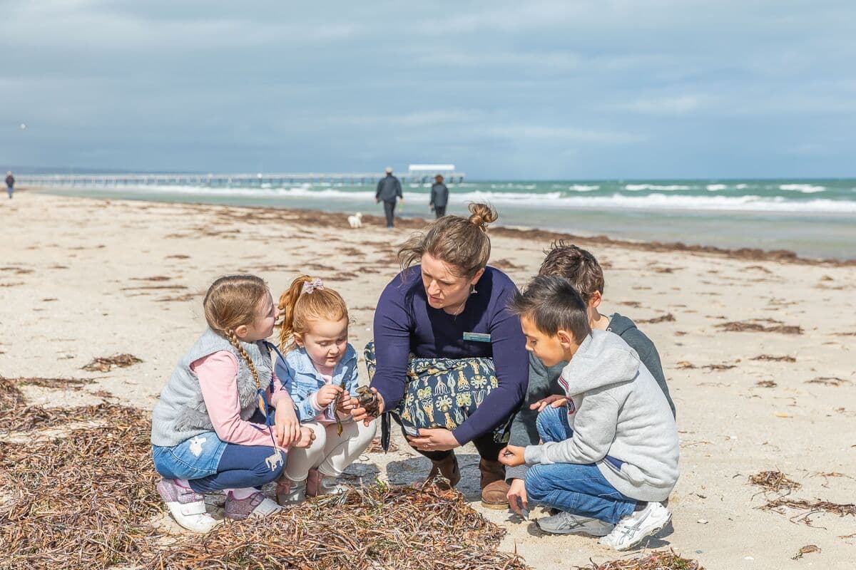 Marine Discovery Centre — Henley Beach, Adelaide