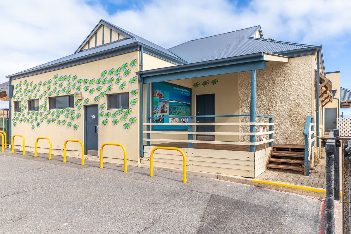 Marine Discovery Centre — Henley Beach, Adelaide