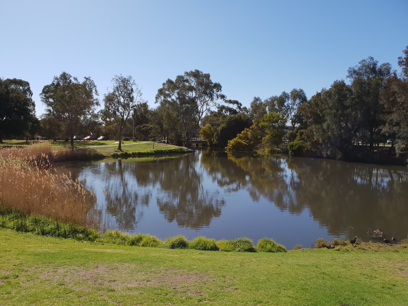 Charles Sturt Museum — Henley Beach, Adelaide