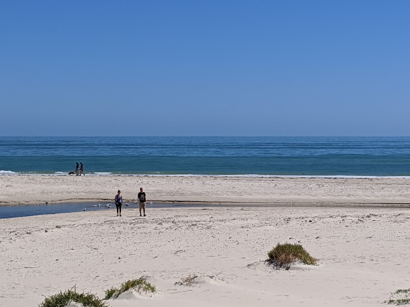 River Torrens Linear Park Trail — Henley Beach, Adelaide