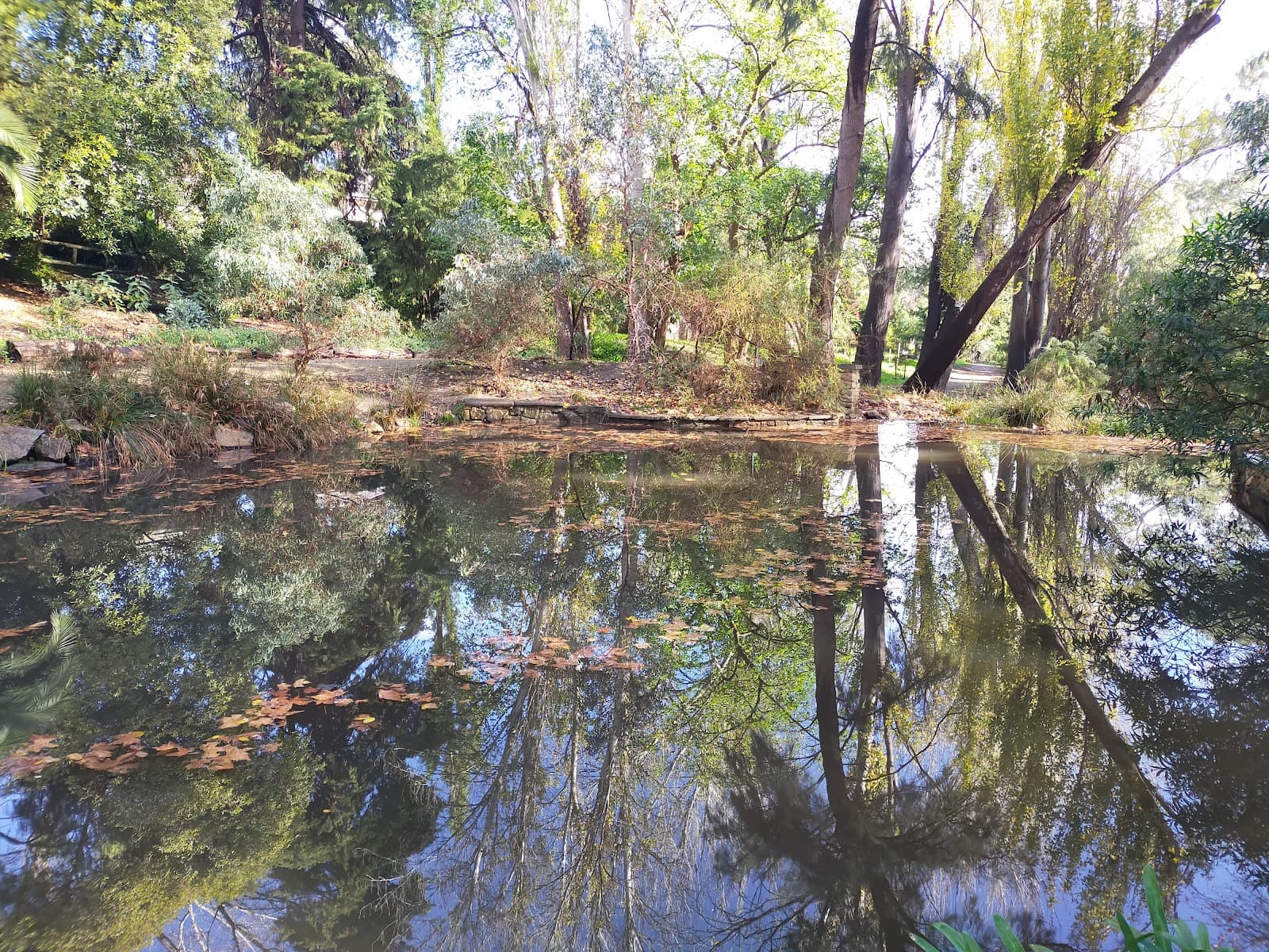 Michael Perry Botanic Reserve — Burnside, Adelaide