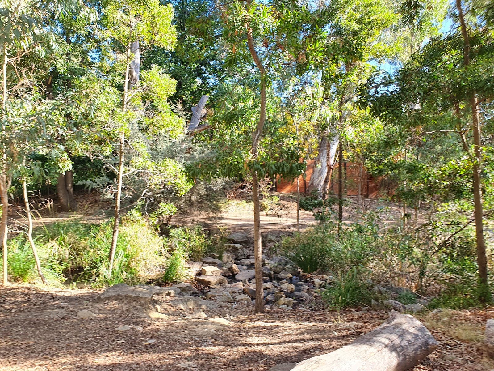Michael Perry Botanic Reserve — Burnside, Adelaide