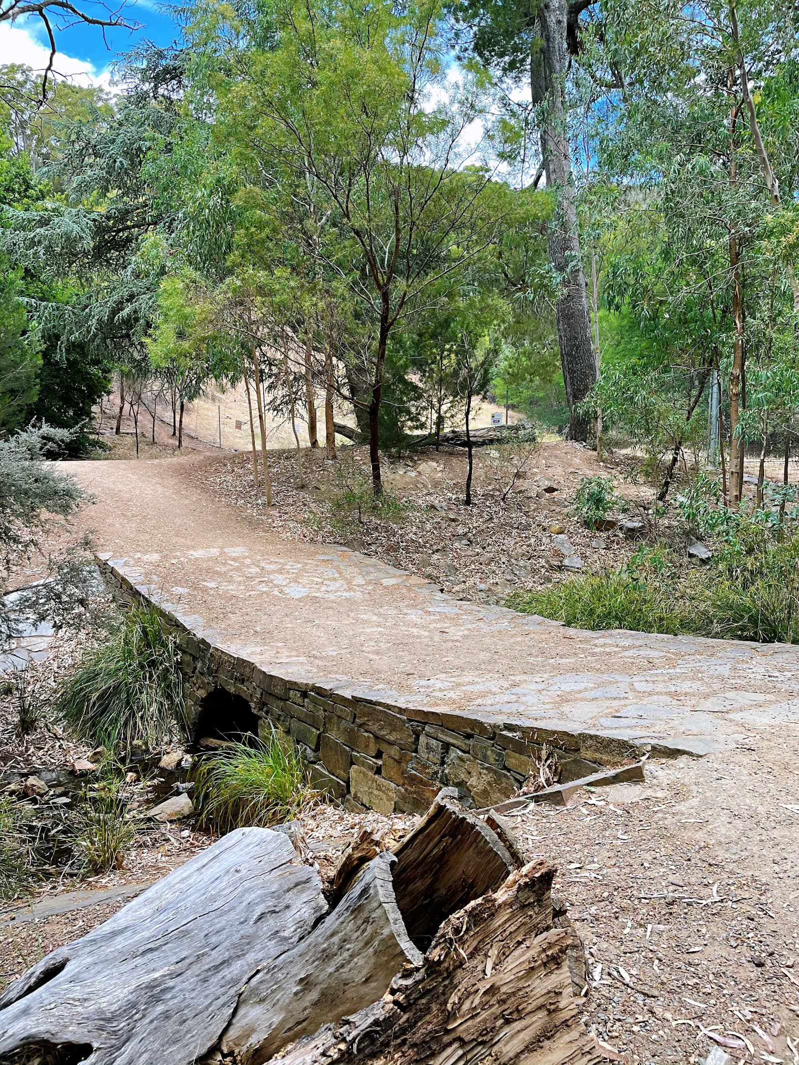 Michael Perry Botanic Reserve — Burnside, Adelaide