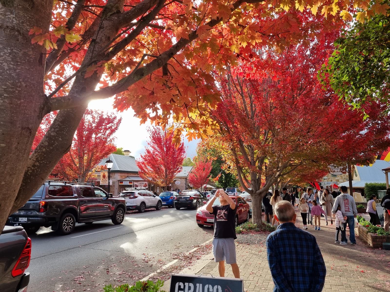 Hahndorf Memorial Institute — Hahndorf, Adelaide