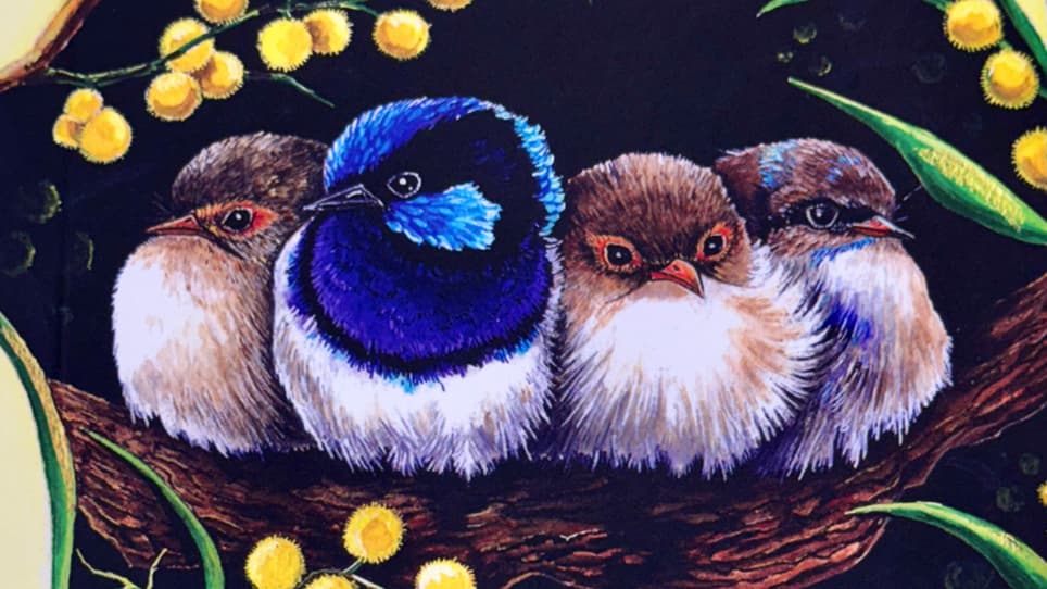Sanctuary Gallery Hahndorf — Hahndorf, Adelaide