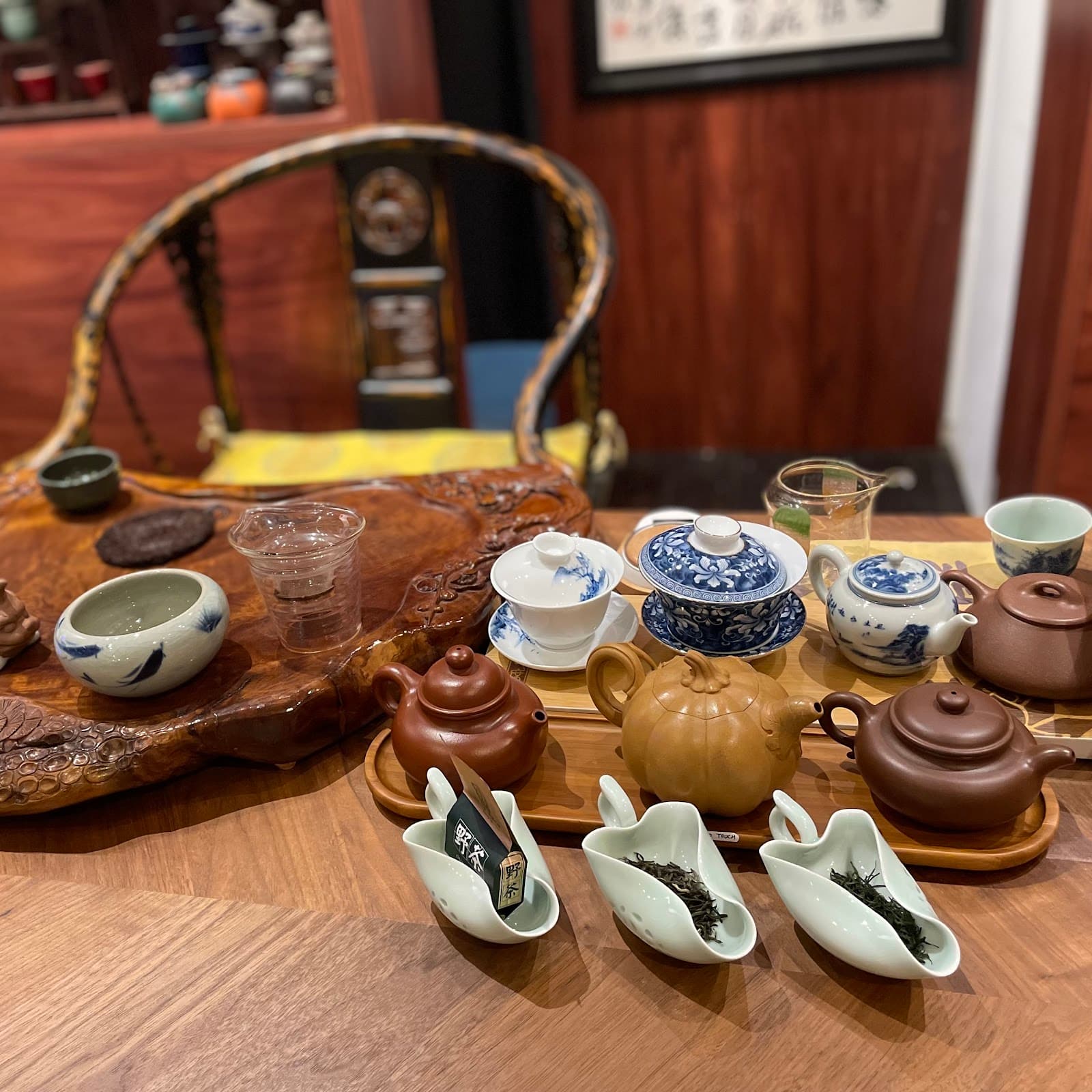 T Life Gallery — Norwood, Adelaide