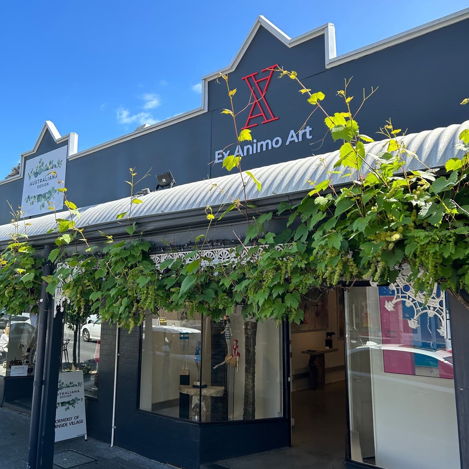 Ex Animo Art — Unley, Adelaide