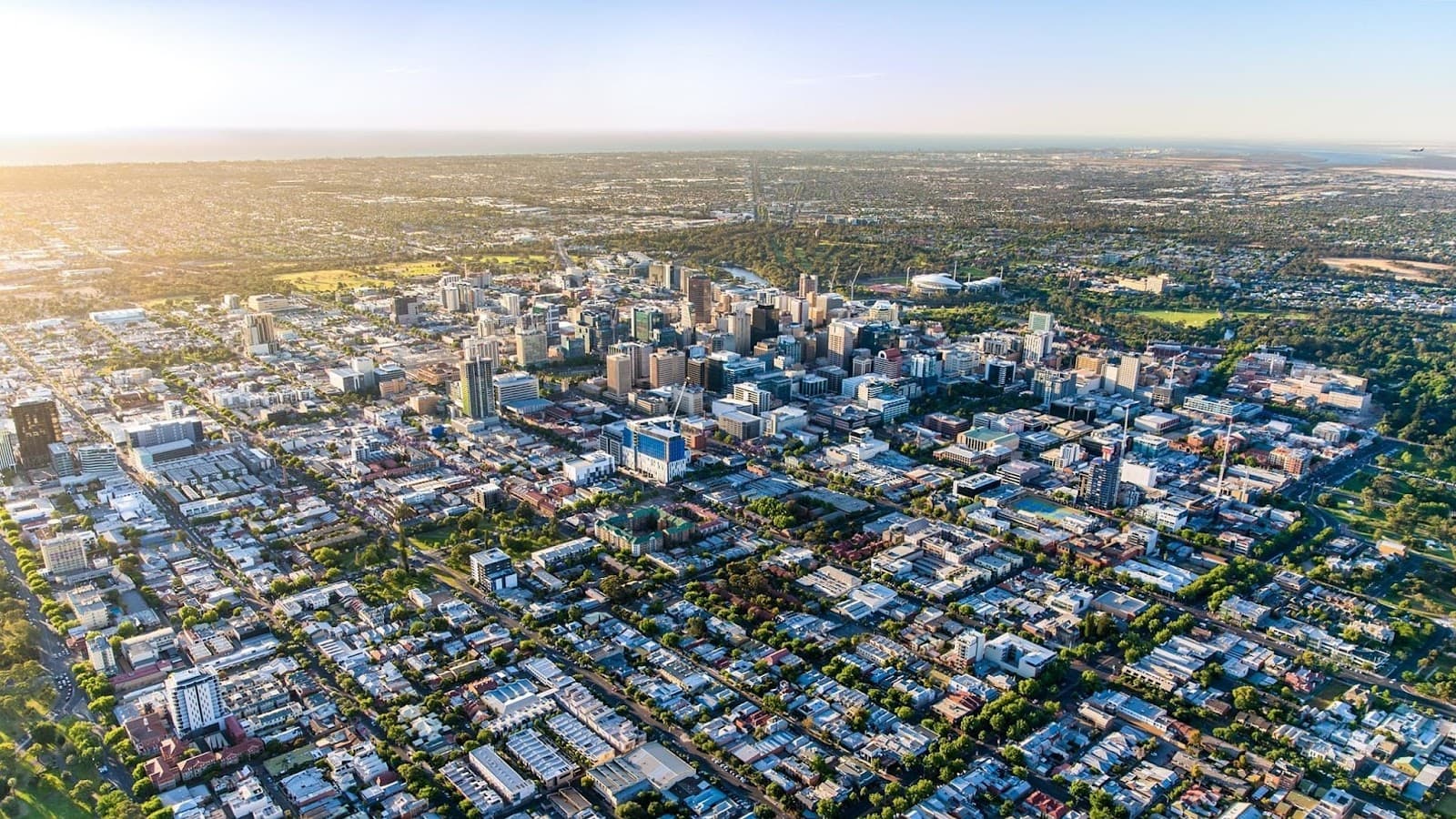 The Forest of Dreams — Adelaide CBD, Adelaide