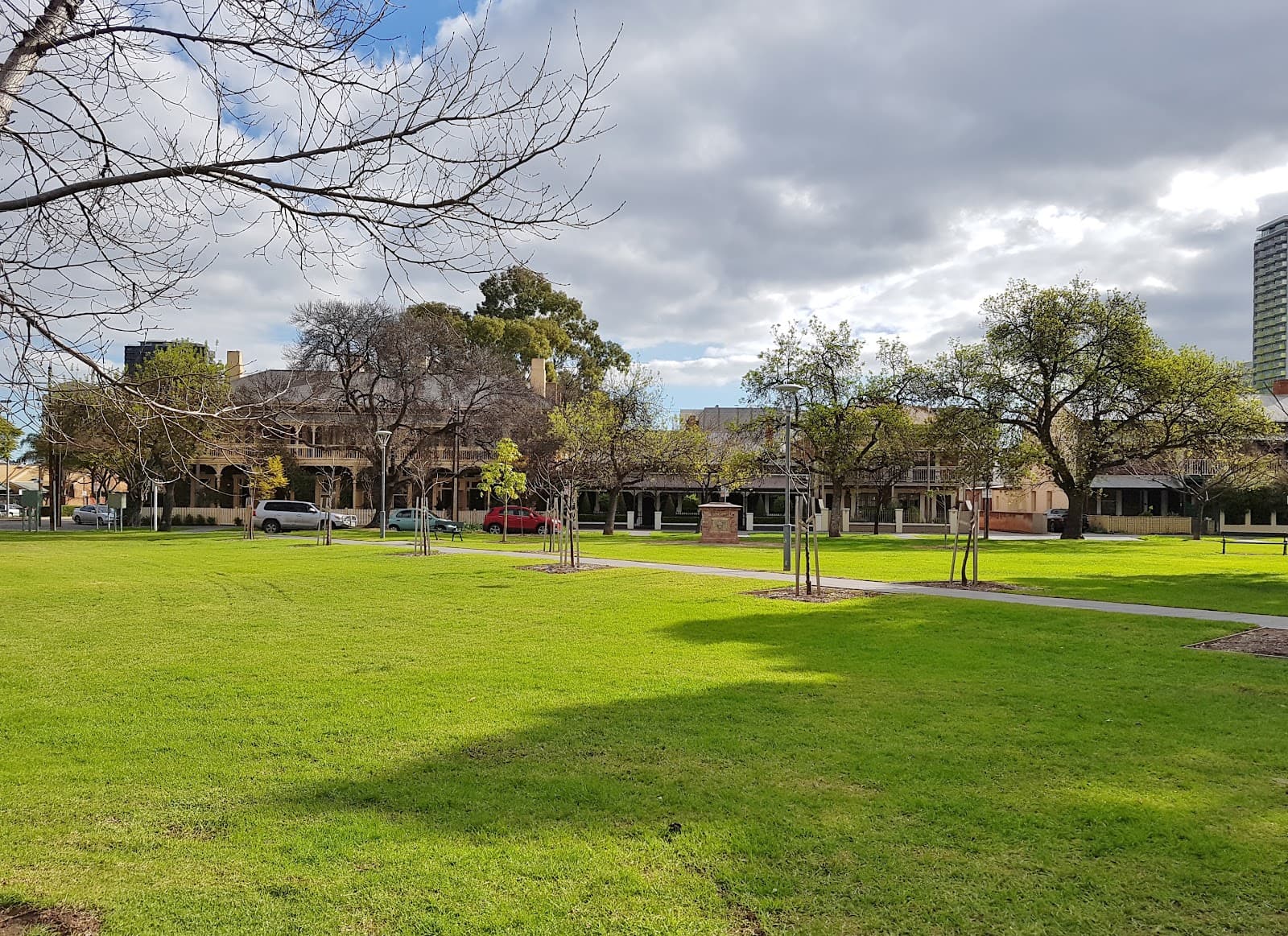 The Forest of Dreams — Adelaide CBD, Adelaide