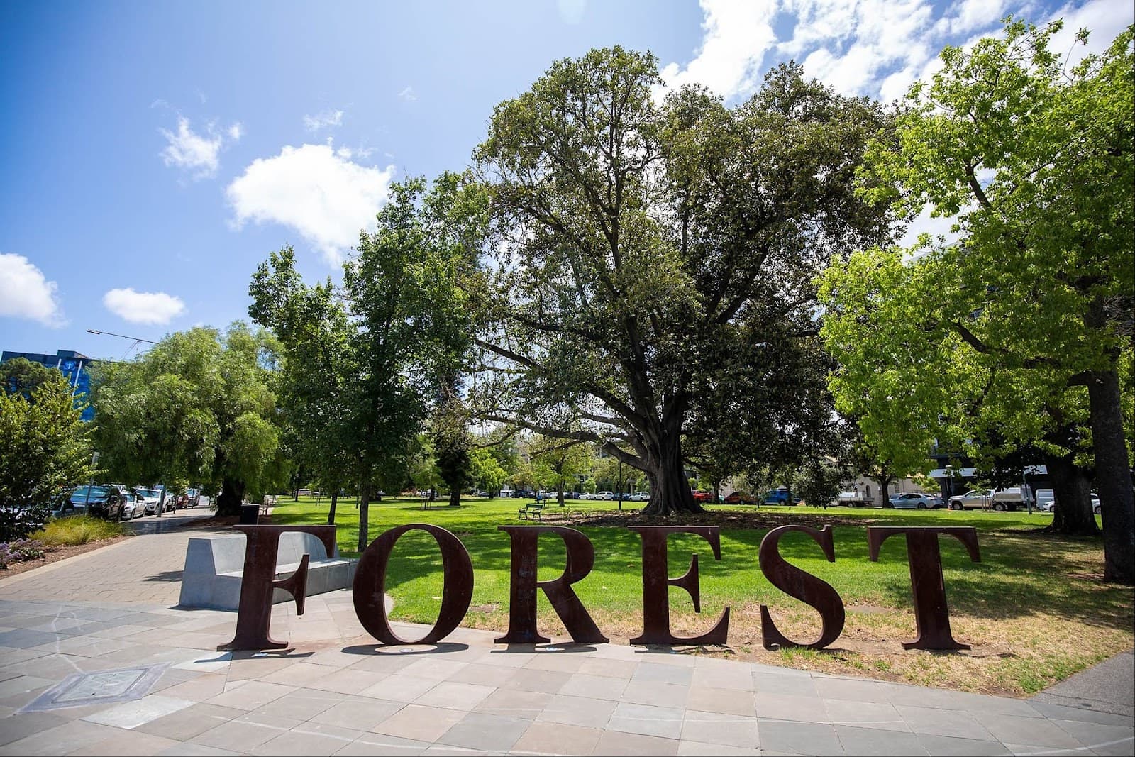 The Forest of Dreams — Adelaide CBD, Adelaide