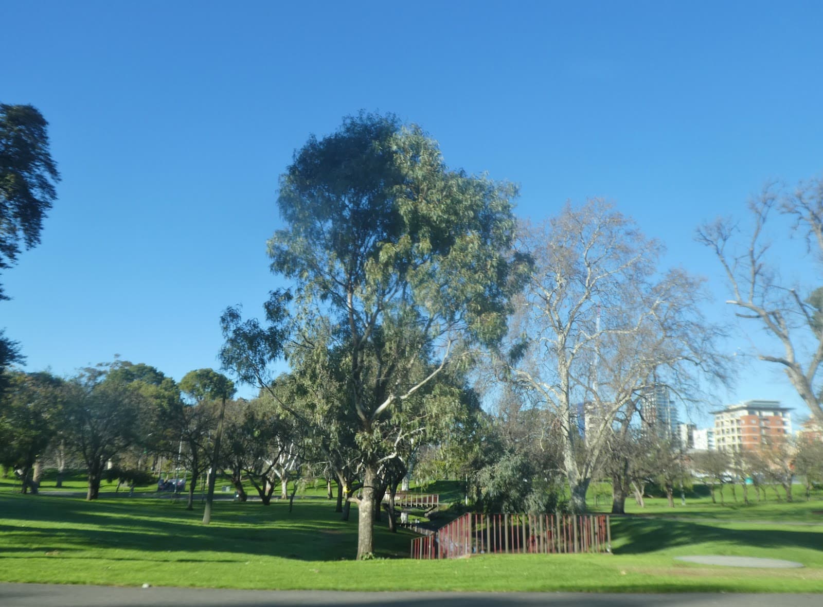 Adelaide Parklands — North Adelaide, Adelaide