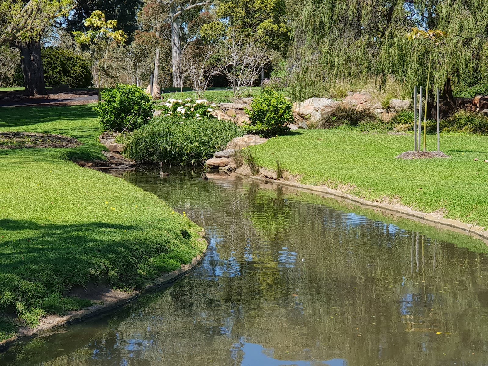 Veale Gardens — Adelaide
