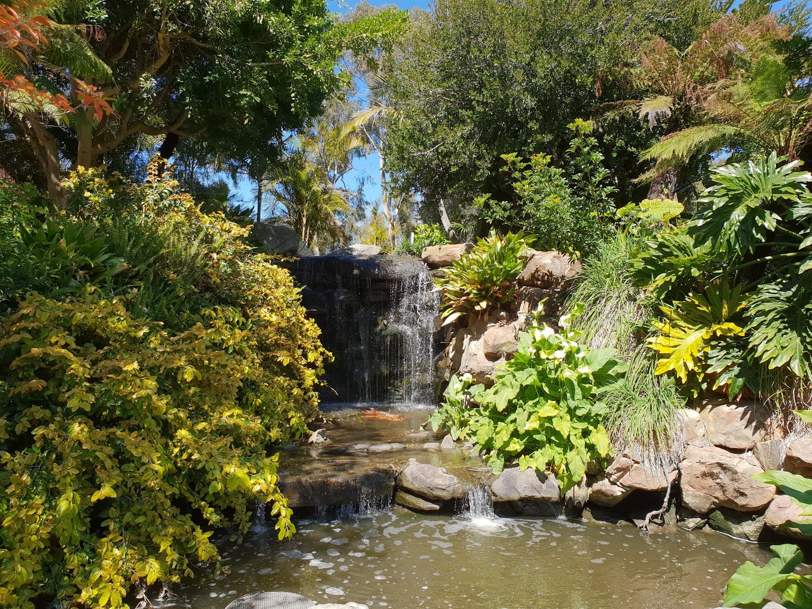 Veale Gardens — Adelaide