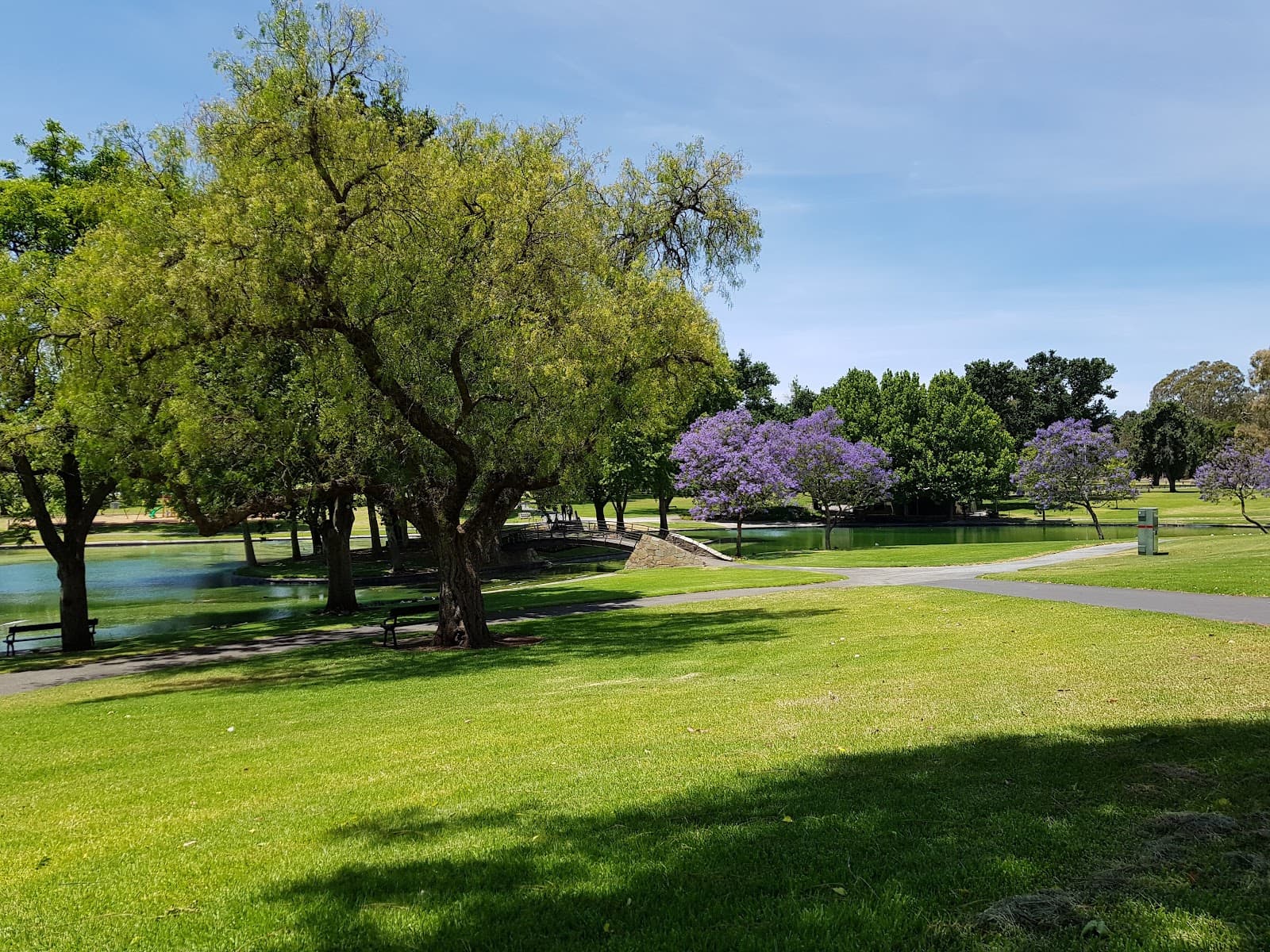 Rymill Park (Park 14) — North Adelaide, Adelaide