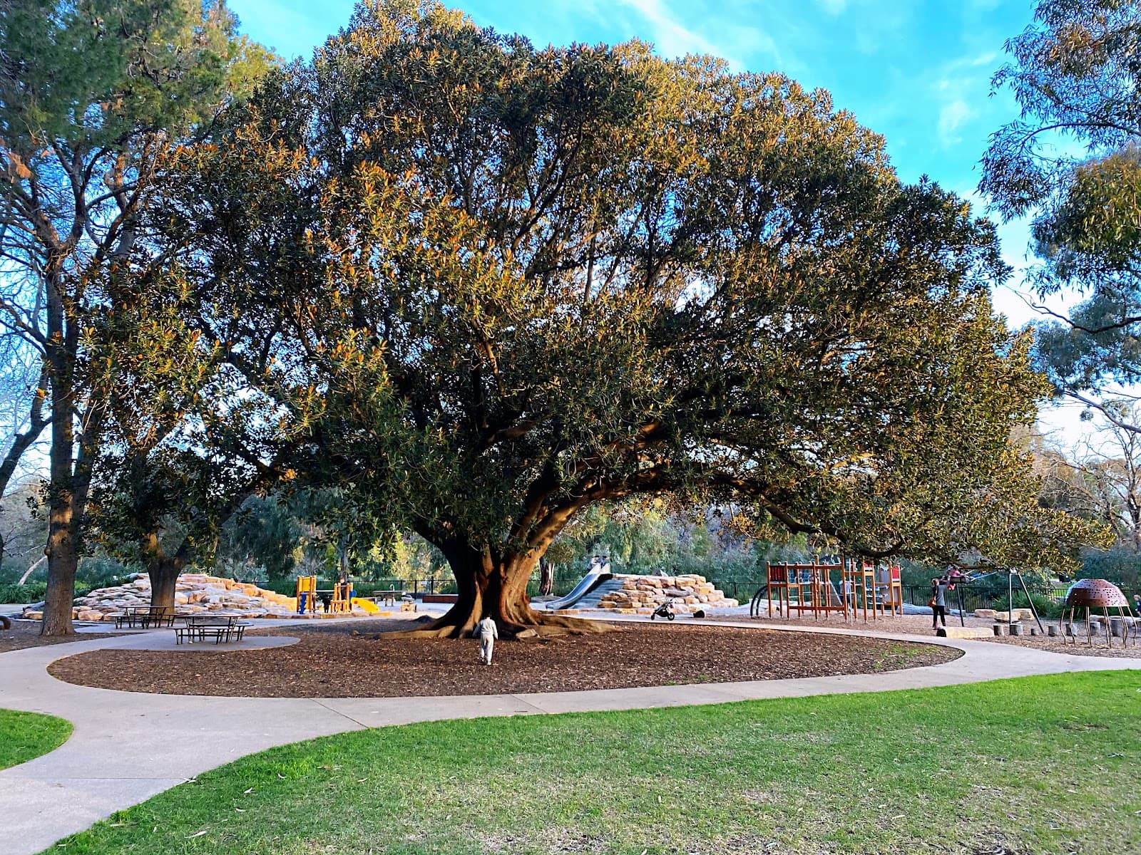 Marshmallow Playground — Unley, Adelaide