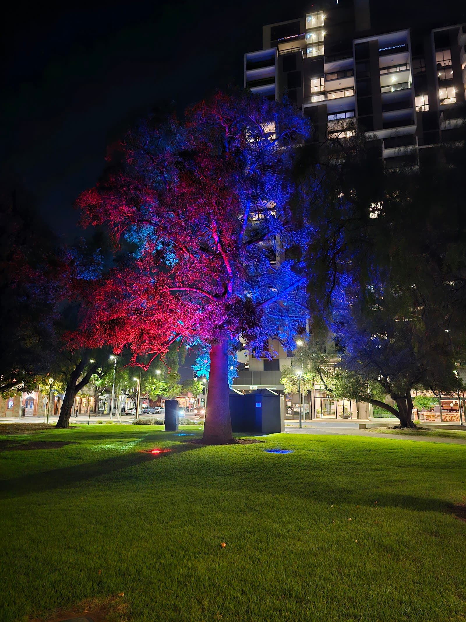 Whitmore Square — Adelaide CBD, Adelaide