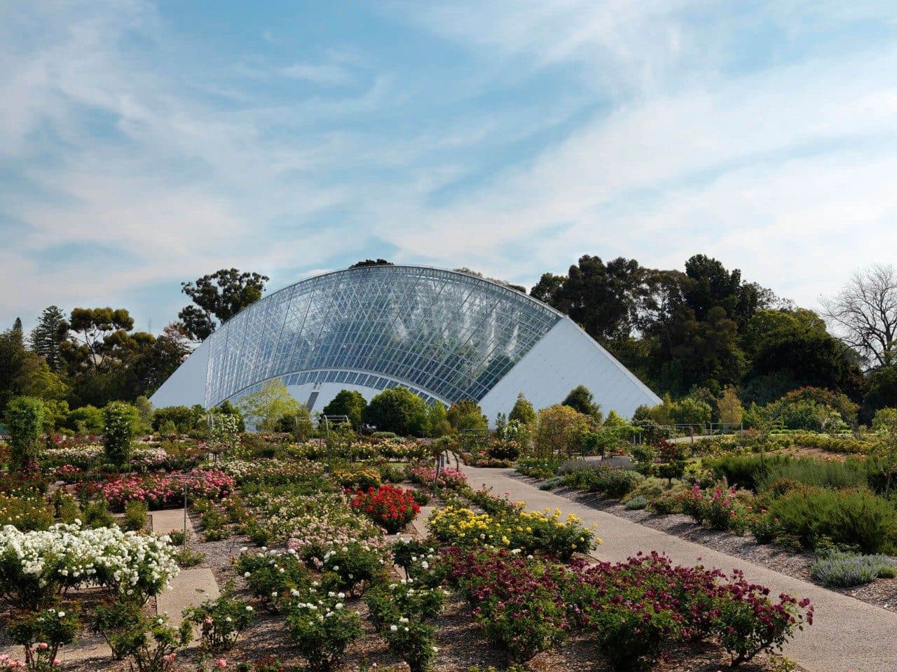Botanic Park — Norwood, Adelaide