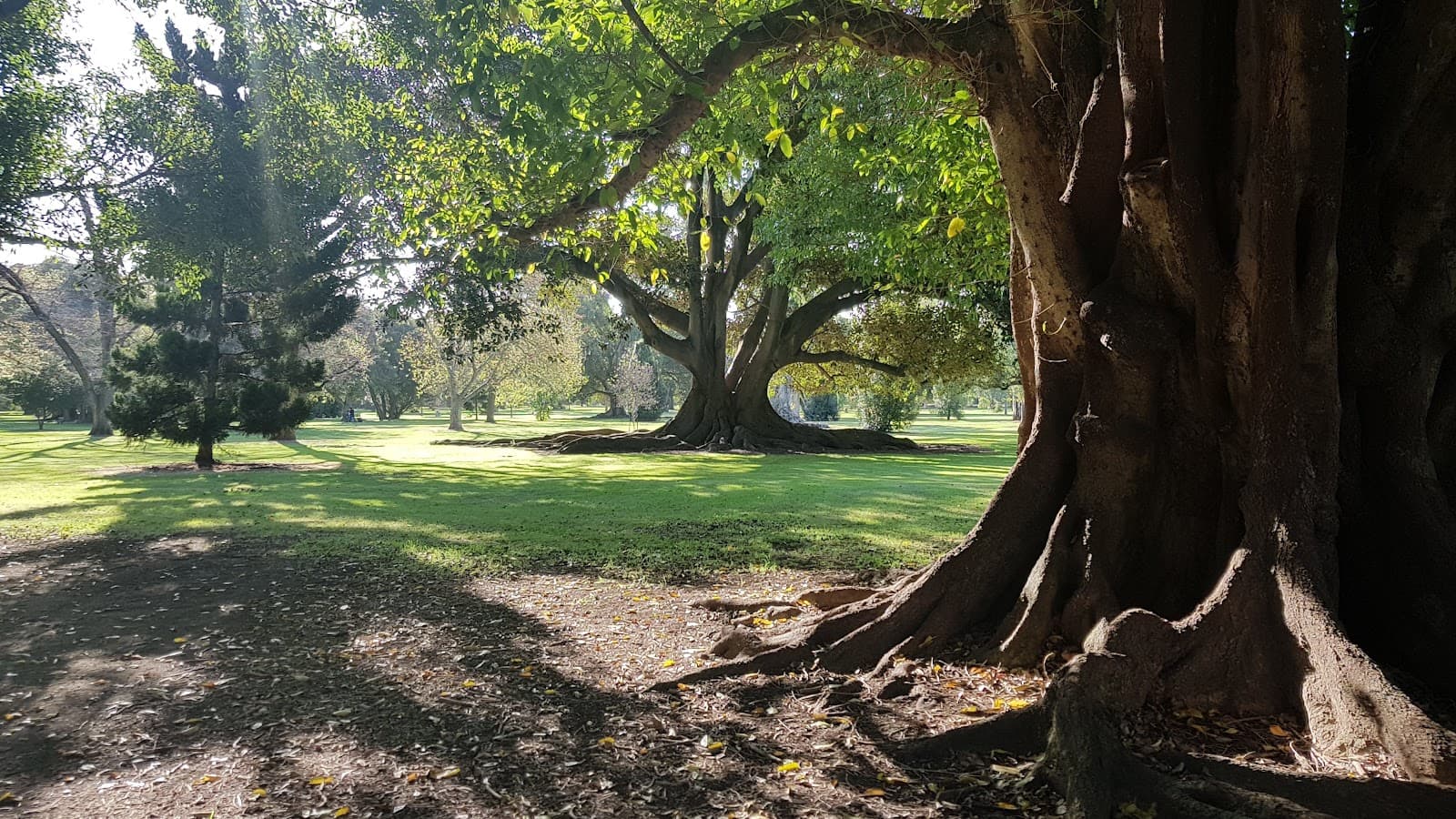 Botanic Park — Norwood, Adelaide