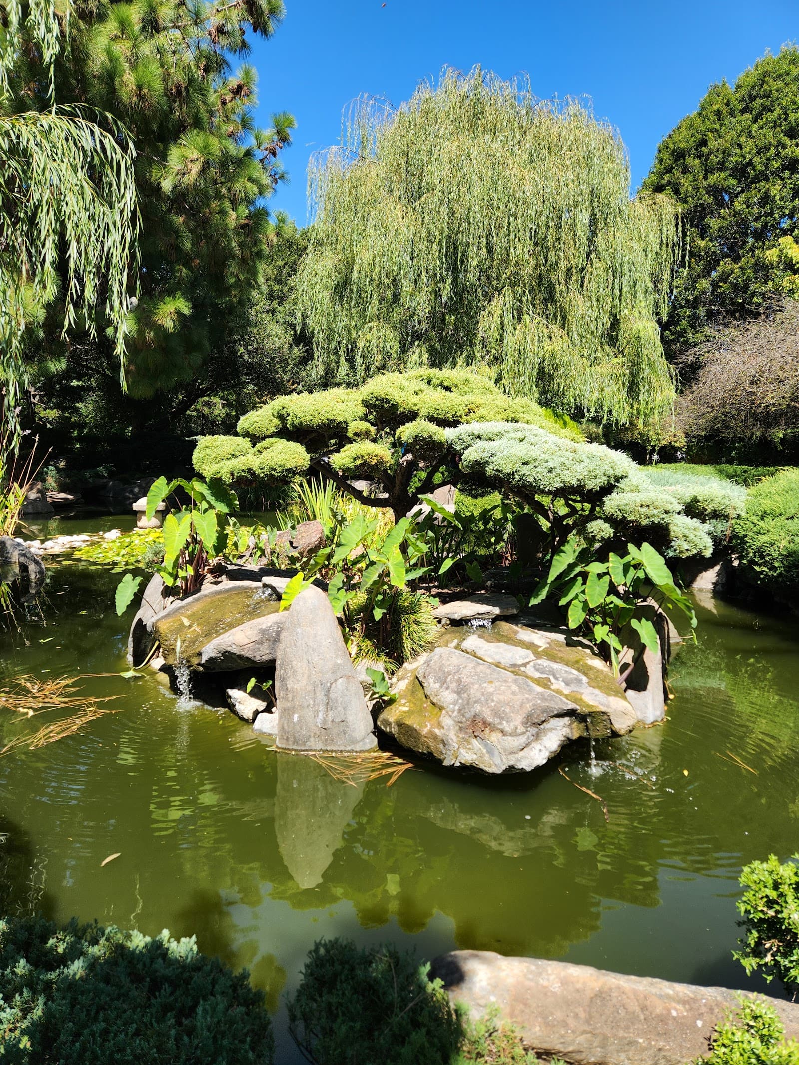 Pelzer Park (Park 19) — Adelaide