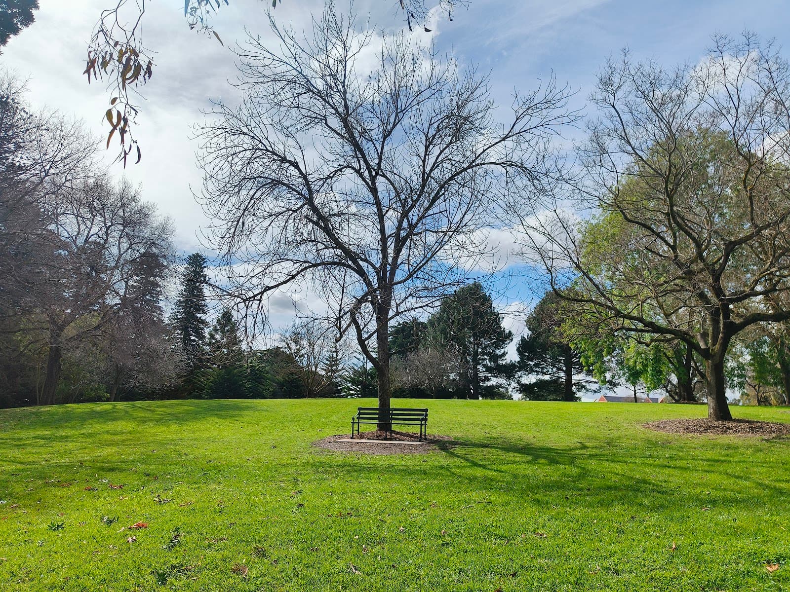 Rundle Park (Park 13) — Adelaide CBD, Adelaide