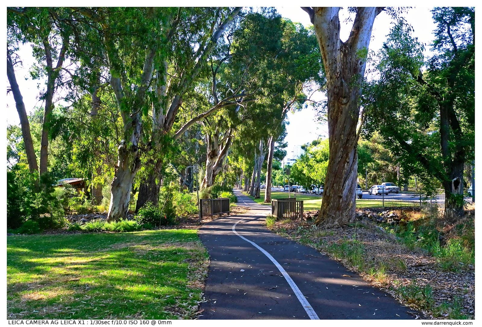 Adelaide Parklands (Park 19) — Adelaide CBD, Adelaide