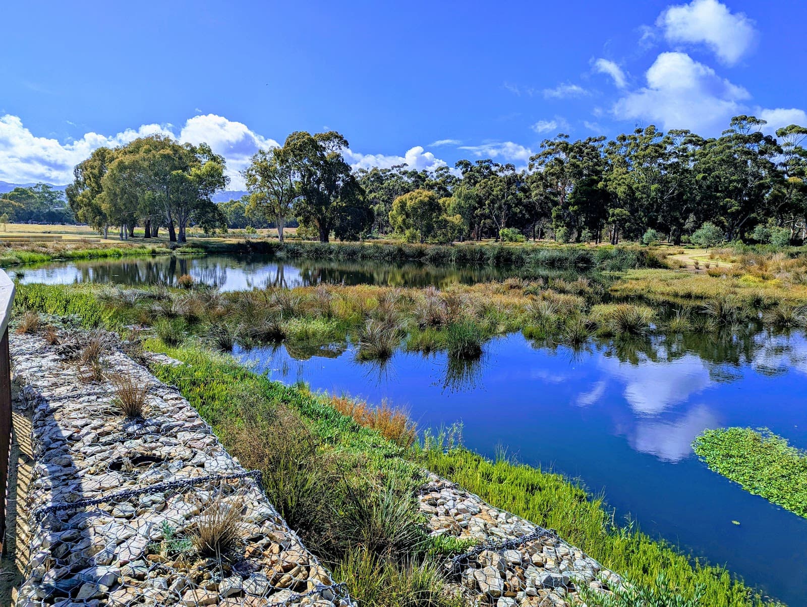 Pakapakanthi /Victoria Park (Park 16) — Adelaide CBD, Adelaide