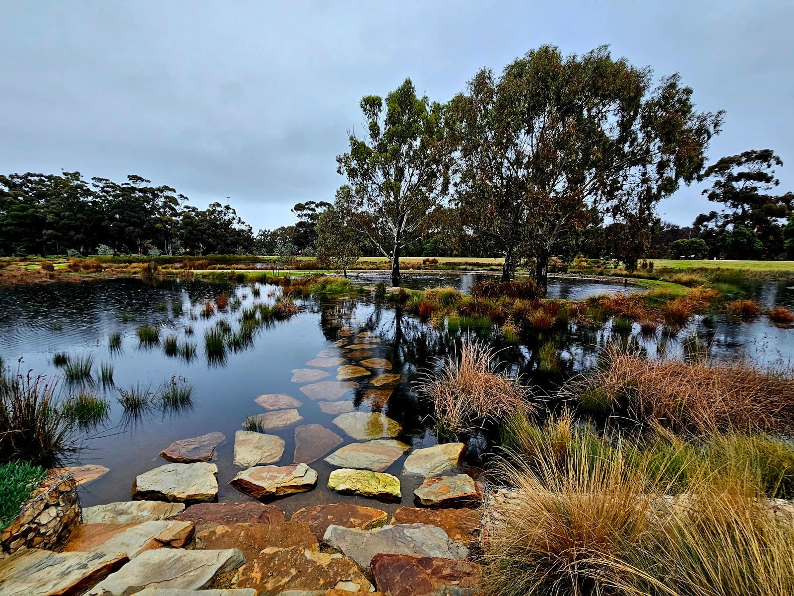Pakapakanthi /Victoria Park (Park 16) — Adelaide CBD, Adelaide