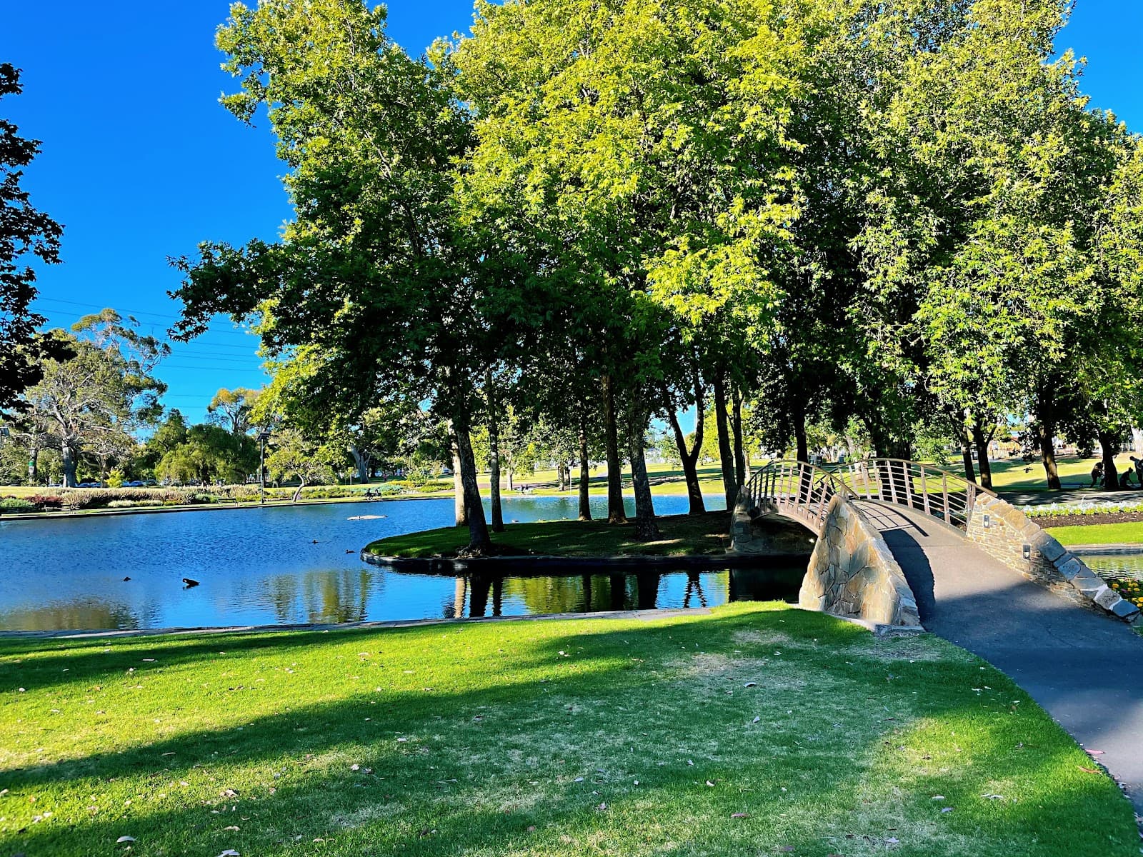 Rymill Park Lake — Adelaide CBD, Adelaide