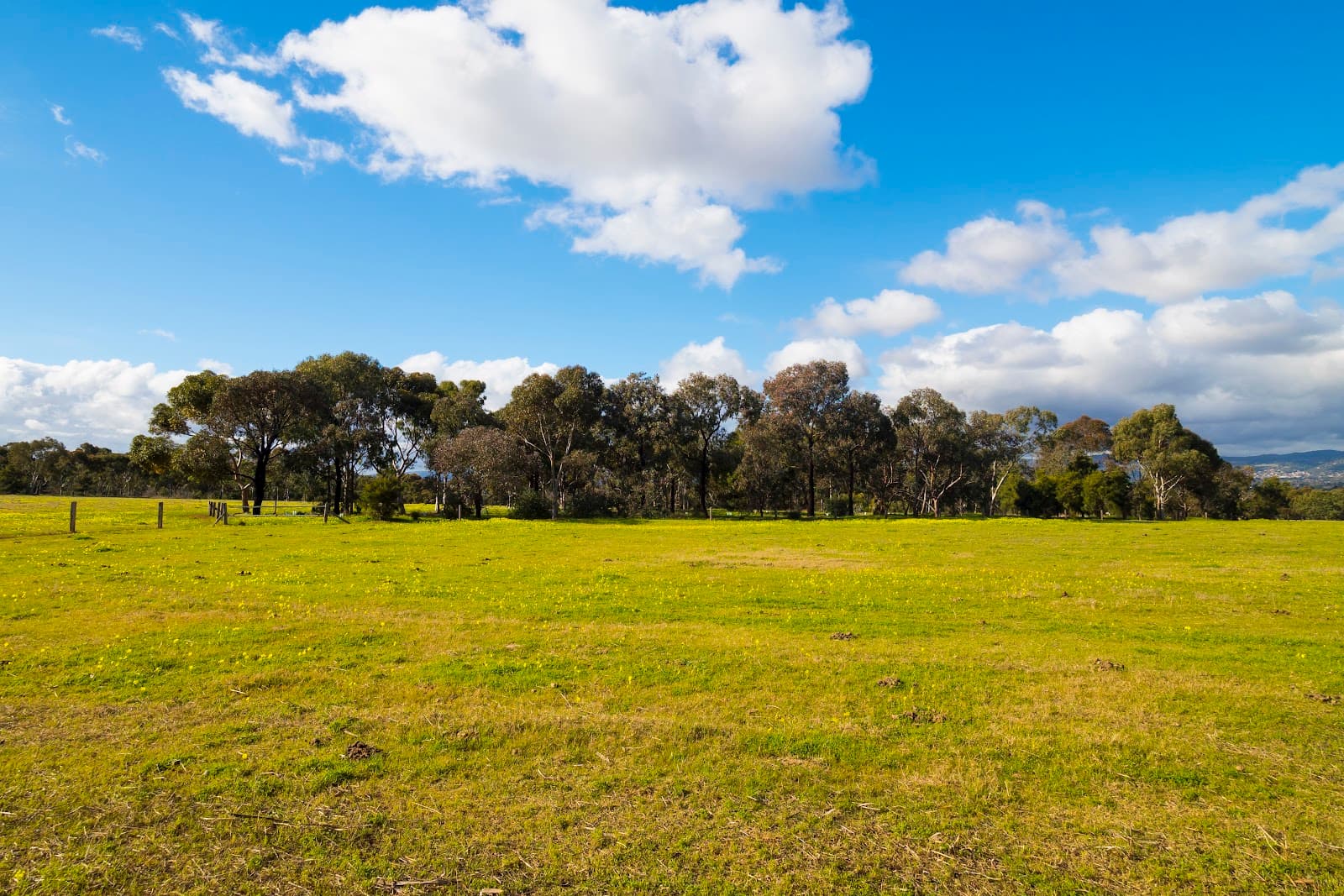 Lefevre Park (Park 6) — Prospect, Adelaide