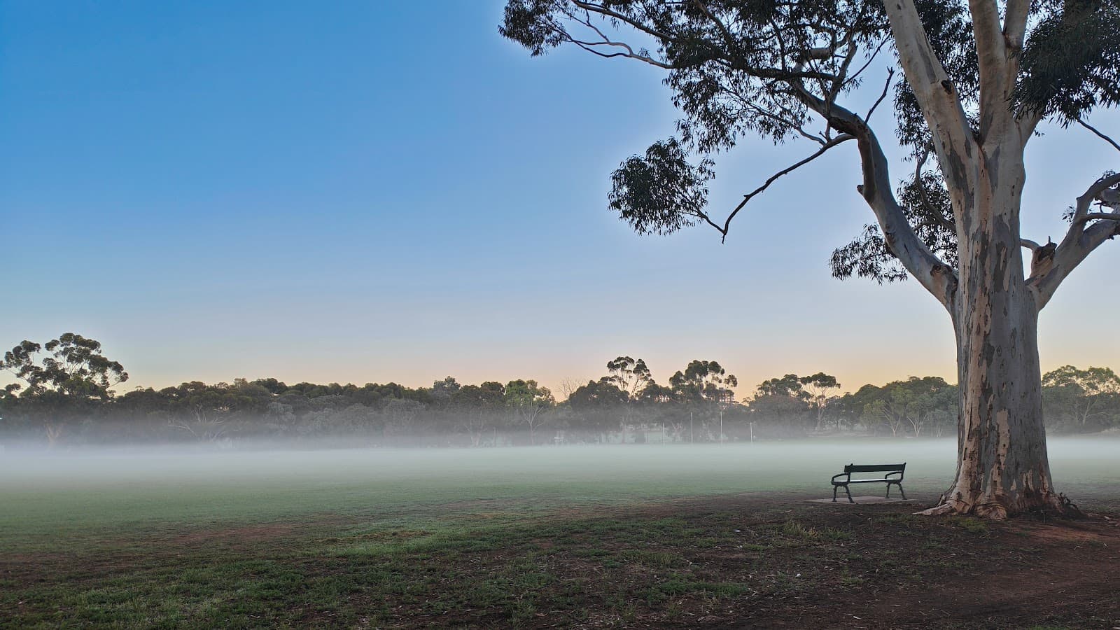 Lefevre Park (Park 6) — Prospect, Adelaide