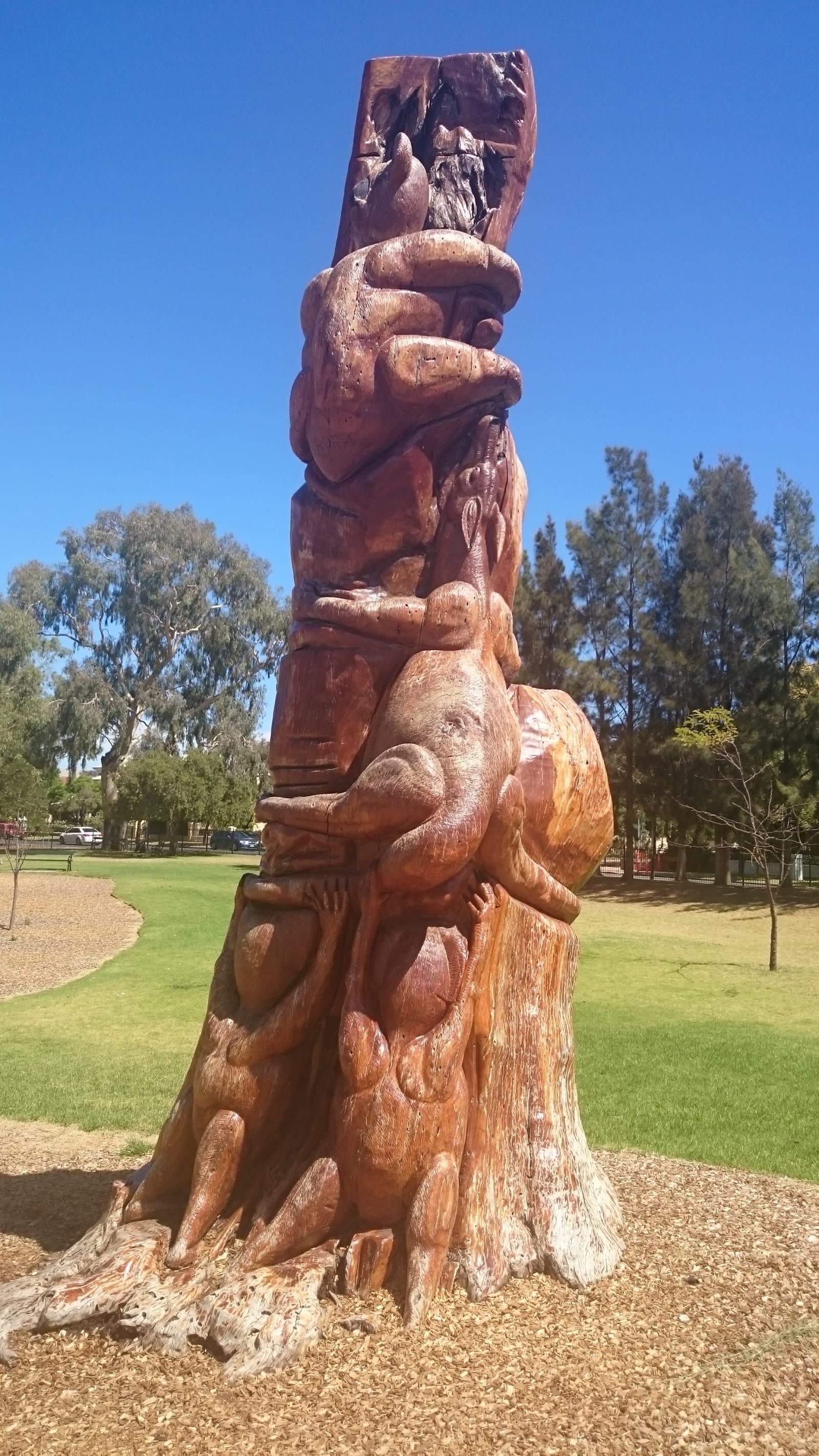 Lefevre Park (Park 6) — Prospect, Adelaide