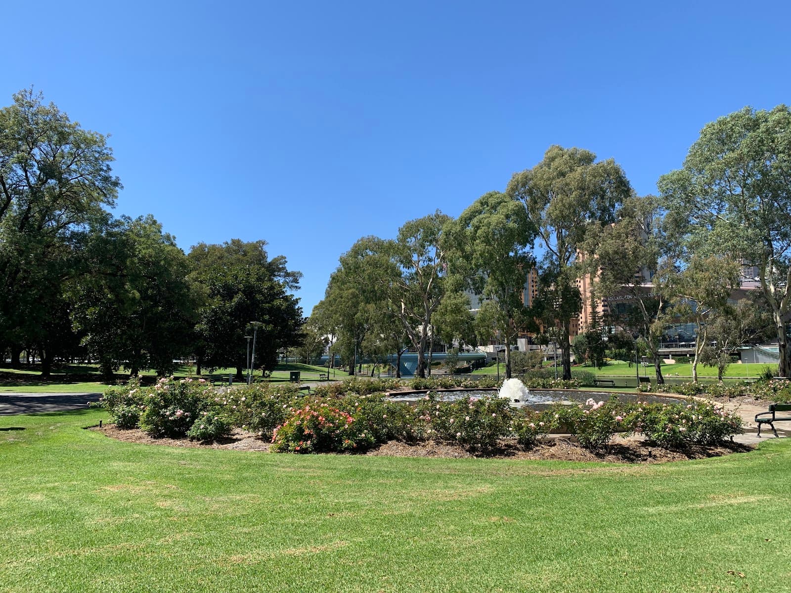 Pinky Flat (Park 26) — North Adelaide, Adelaide