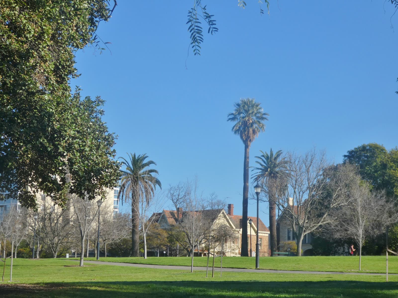Peace Park — North Adelaide, Adelaide